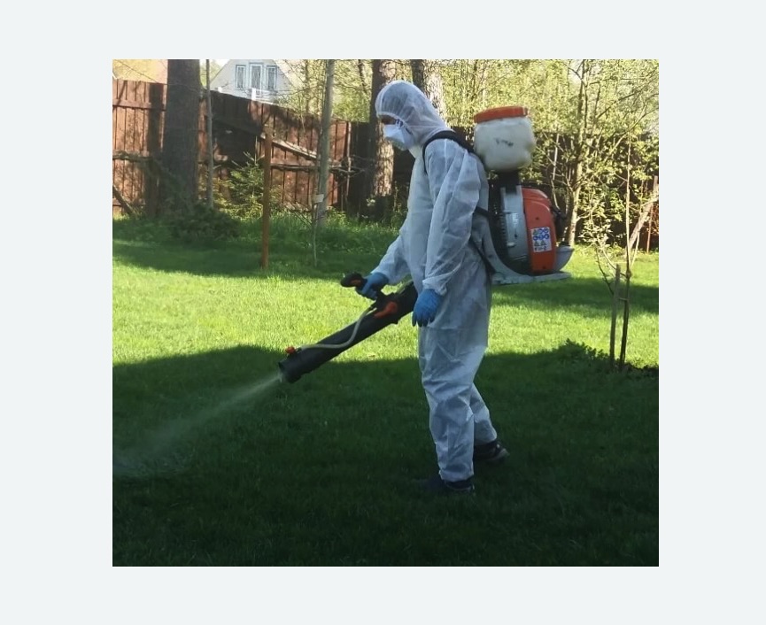 Обработка территории от клещей в Большом Камне