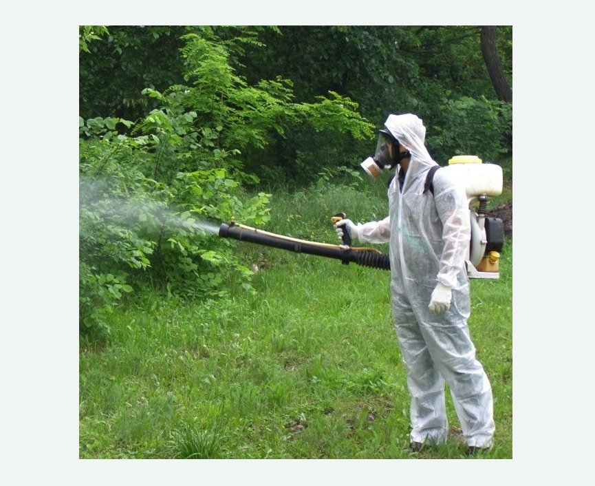 обработка дачи от клещей обработка территории от клещей в Большом Камне