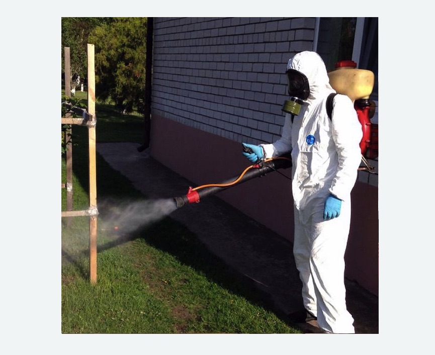 уничтожение клещей на участке травля клещей на участке в Большом Камне