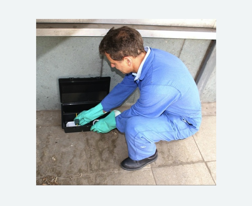 Дератизация помещения в Большом Камне Дератизация помещения