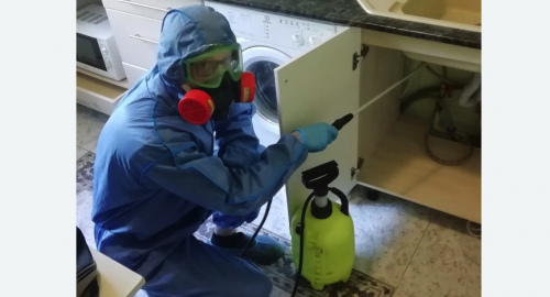 Уничтожение муравьев в квартире. Большой Камень