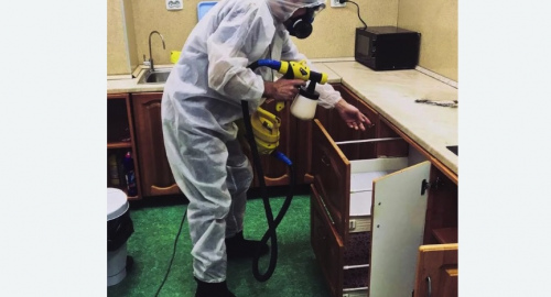 Уничтожение насекомых в квартире. Большой Камень