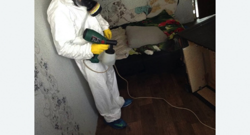 Обработка квартир от насекомых в Большом Камне