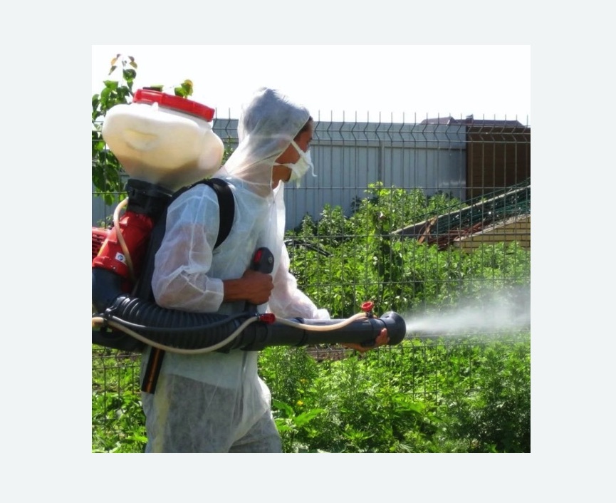 Акарицидная обработка территории в Большом Камне