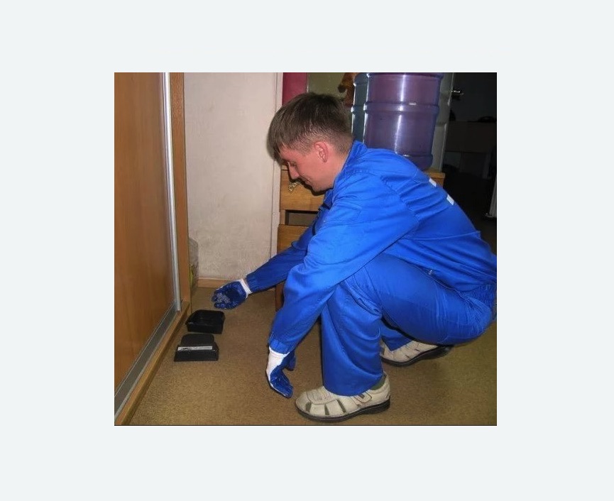 Дератизация крыс Дератизация крыс в Большом Камне