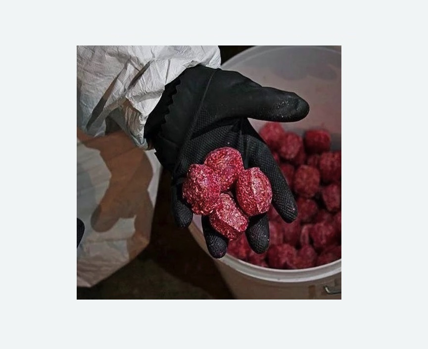 Обработка от крыс Обработка от крыс в Большом Камне