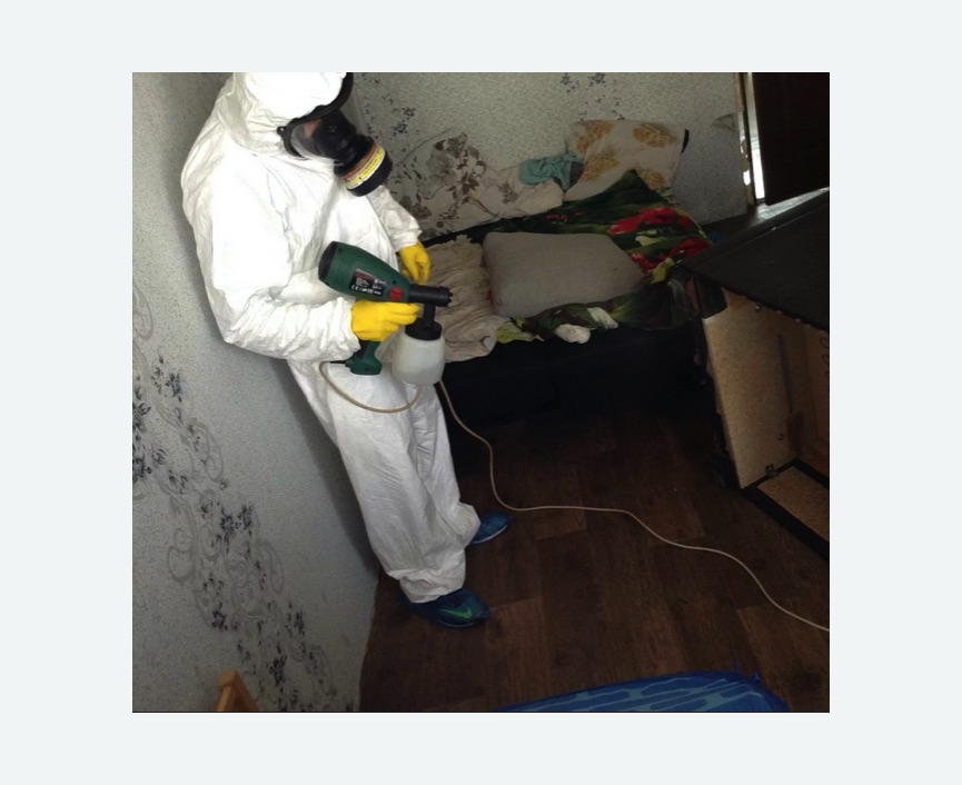 Обработка от насекомых в Большом Камне Обработка квартиры от насекомых