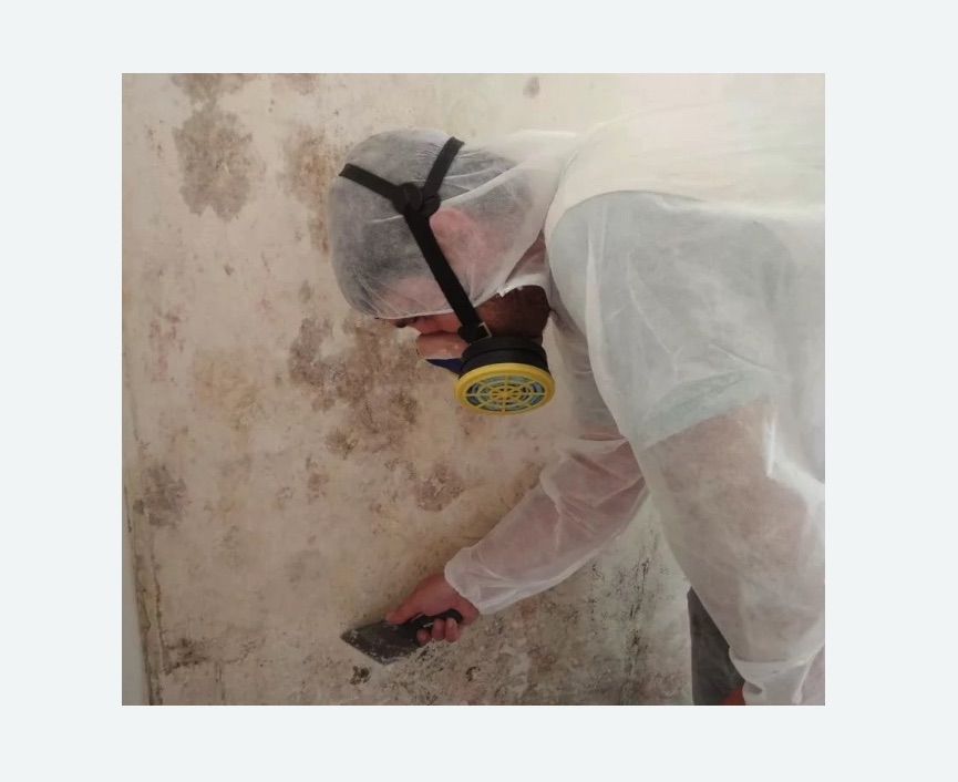 Обработка стен от плесени Обработка стен от плесени в Большом Камне