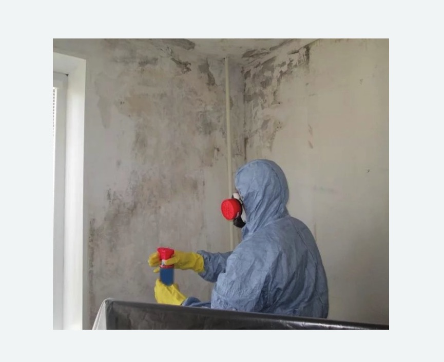 Удаление плесени в квартире Удаление плесени в квартире в Большом Камне