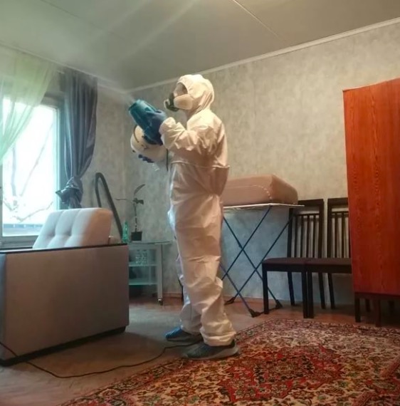 дезинсекция квартиры туманом дезинсекция квартиры в Большом Камне