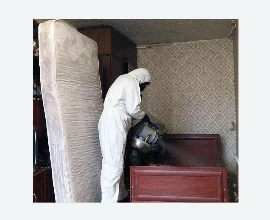 дезинфекция от клопов дезинфекция от клопов в Большом Камне
