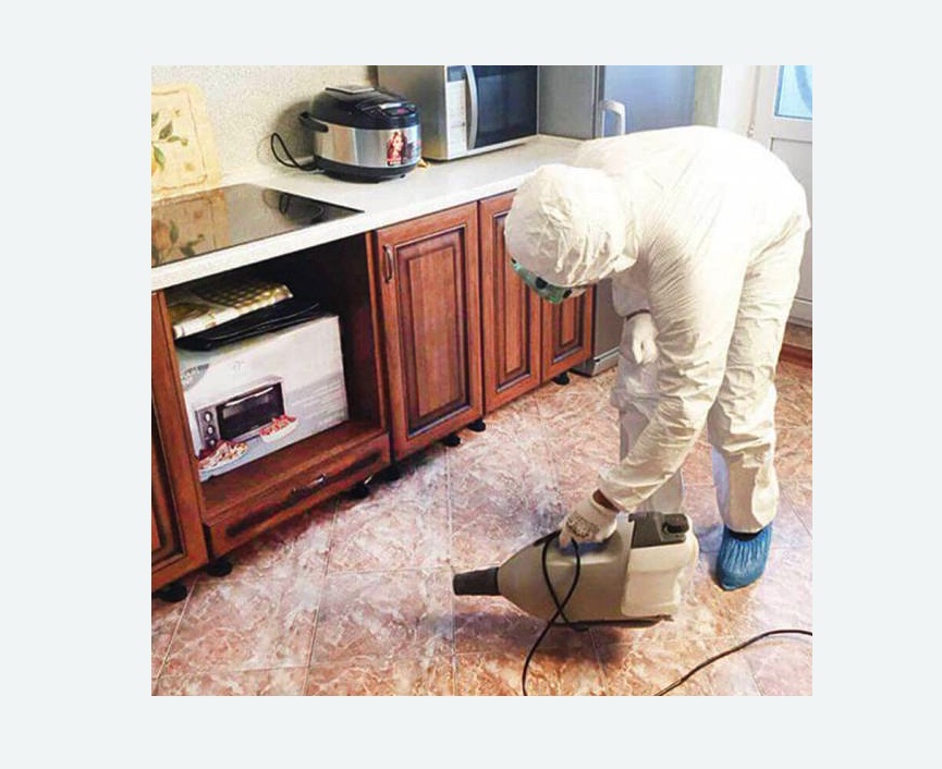 обработка квартиры от клопов в Большом Камне обработка квартиры от клопов