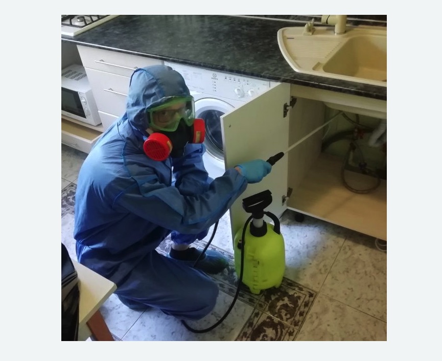 обработка от муравьев в квартире в Большом Камне