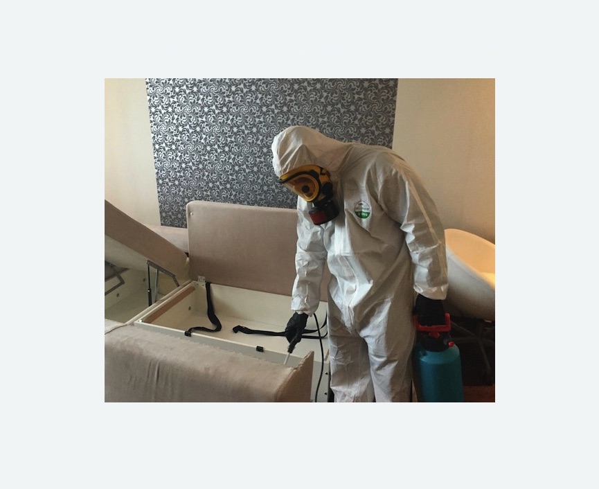 уничтожение клопов в квартире уничтожение клопов в квартире в Большом Камне