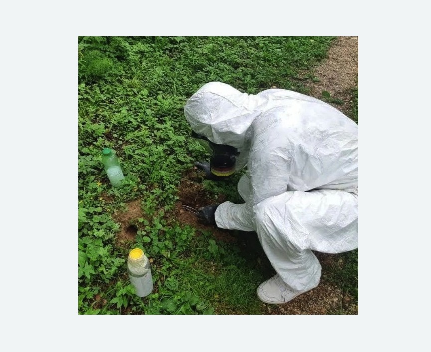 уничтожение кротов на участке в Большом Камне