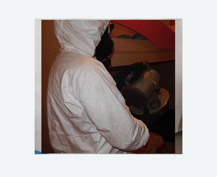 Дезинфекция от муравьев в Большом Камне