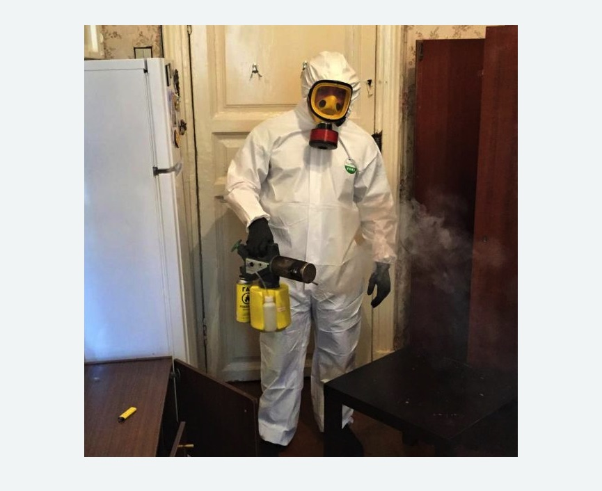 уничтожение муравьев в квартире в Большом Камне